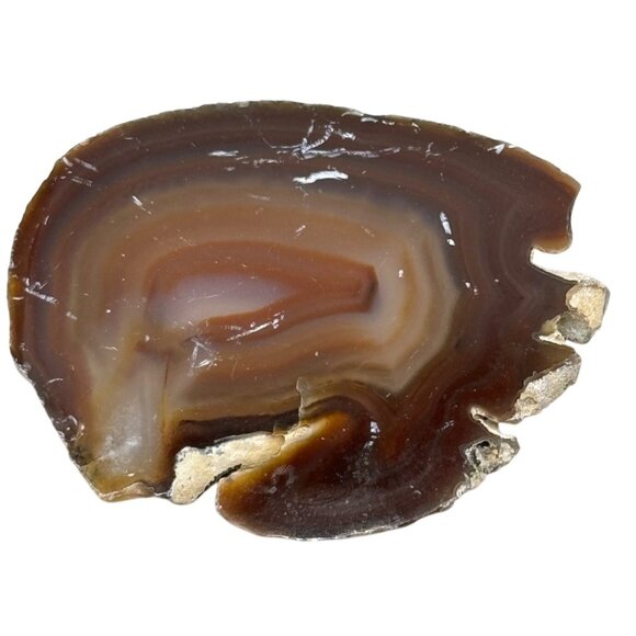 Polished Banded Agate Slice With Natural Edges & Earthy Tones READ - Picture 1 of 10